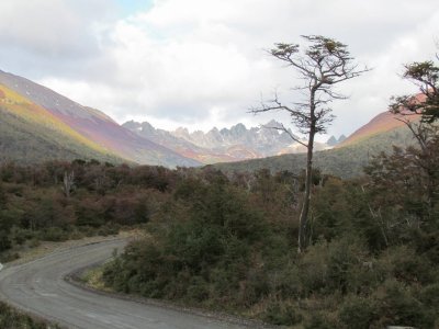 Dientes de Navarino