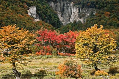 otoÃ±o colorido