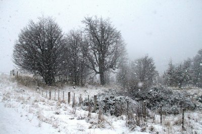 Nieve en la Patagonia