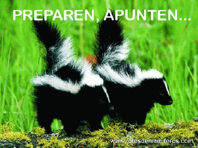 PREPAREN, APUNTEN...