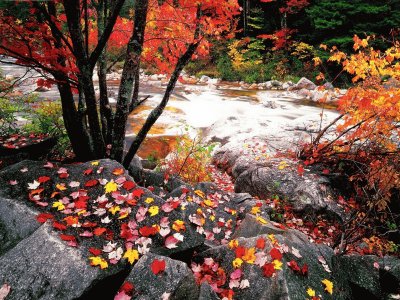 RIVER