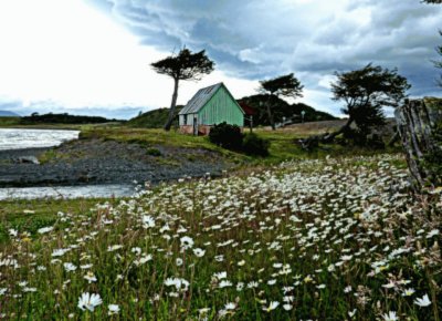 Casa frente al canal Beagle