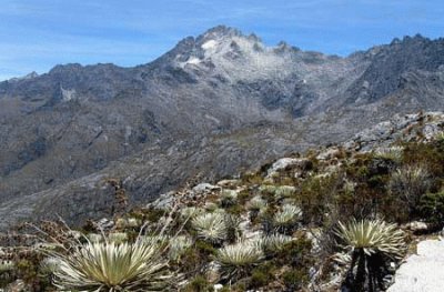 Sierra Nevada Merida Venezuela