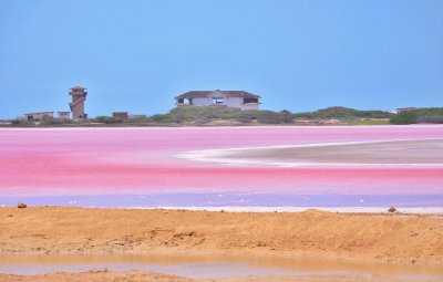 Salinas Las Cumaraguas Falcon Venezuela