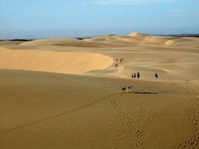 Medanos de Coro Falcon Venezuela