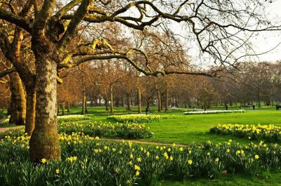 PARQUE REAL, LONDRES.