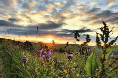 Carron Bridge sunrise