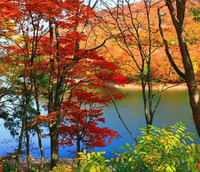 lago