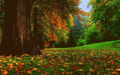 autum