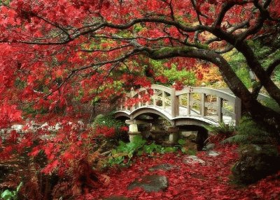 JAPON