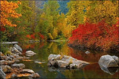 sobre el rio