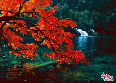 CASCADA