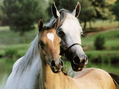 MADRE E HIJO.