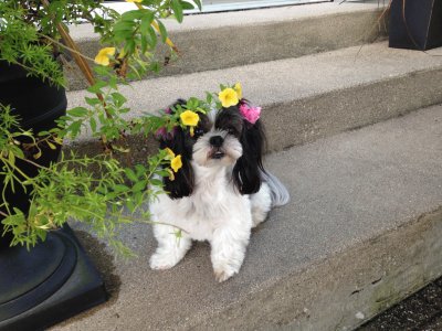 Basia looks like a Flower Girl