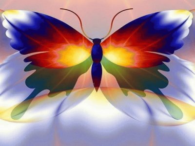 Rainbow Butterfly