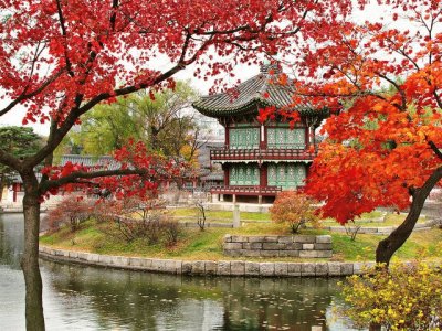 Pagode Gyeong Bokgung Palace South Korea