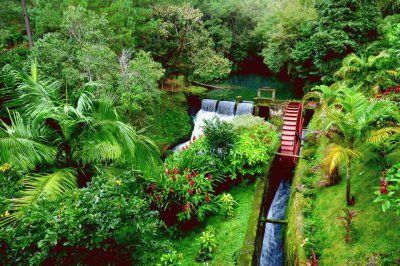 FINCA DE CAFÃ‰, GUATEMALA.