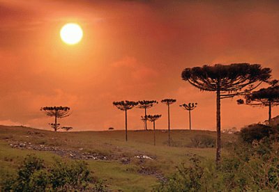 Natureza em SÃ£o Francisco de Paula