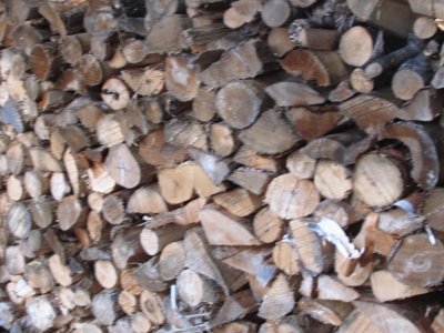 Woodpile