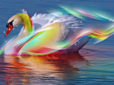 Colorful Swan