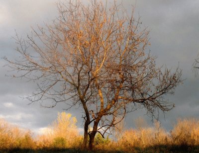 Paisatje tardor