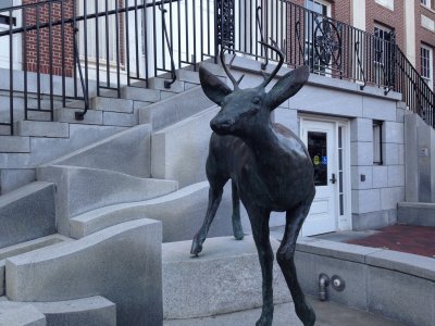 Burlington Vermont Courthouse