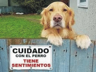 Â¡CUIDADO CON EL PERRO!