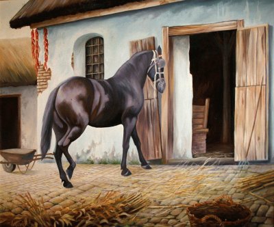 cavalo