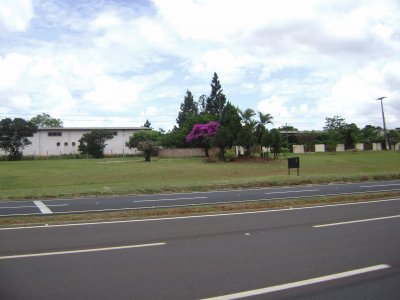 Flores na estrada