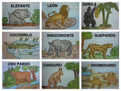 ANIMALES DEL MUNDO