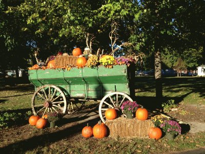 Perry Farms Bourbonnais Illinois