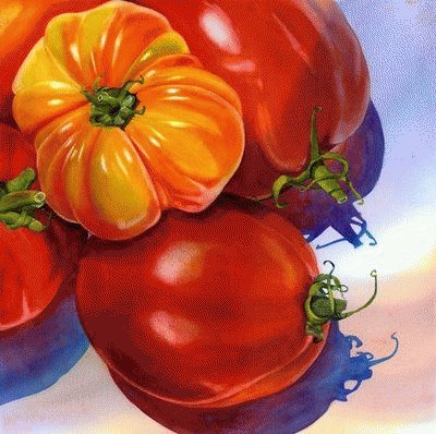 Tomatos