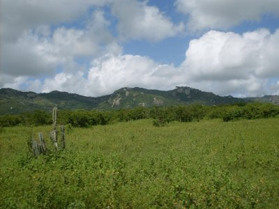 Paisagem Pernambucana - PE