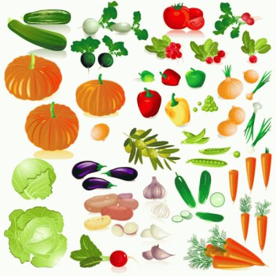 verduras