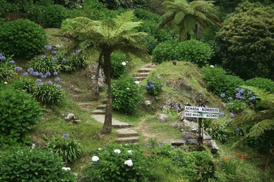 Azores