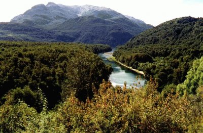 Parque Nacional Los Alerces. Chubut. Argentina