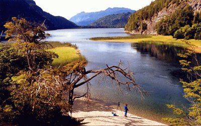 Parque Nacional Los Alerces. Chubut. Argentina