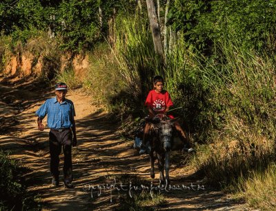 camino real