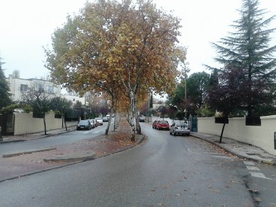 otoÃ±o