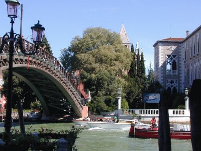 Ponte dell 'Accademia. Venecia.