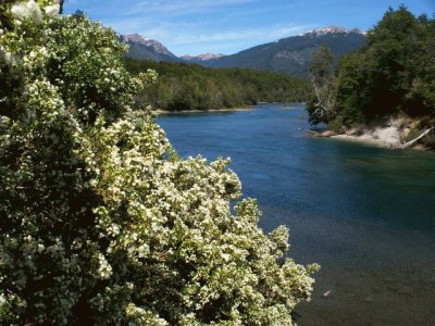 Parque Nacional Los Alerces. Chubut. Argentina