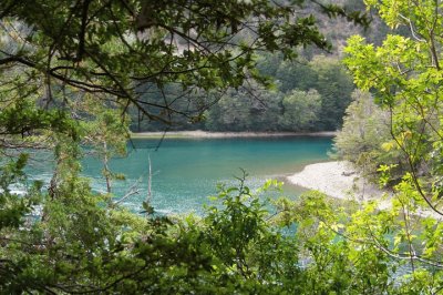 Parque Nacional Los Alerces. Chubut. Argentina