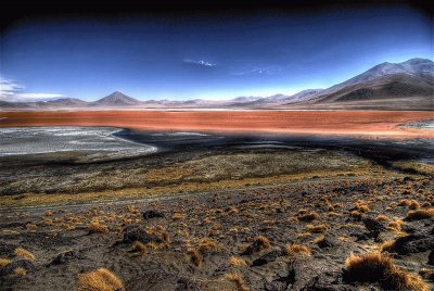 Laguna Colorada. Bolivia