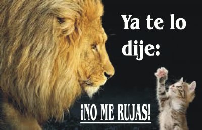 NO ME RUJAS.