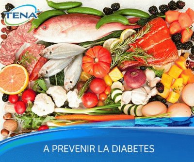 nutricion