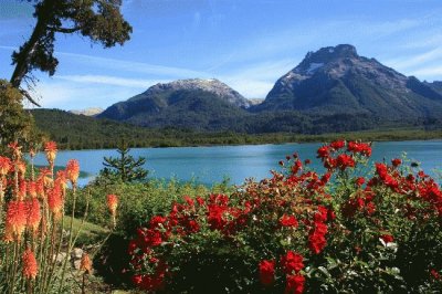 Parque Nacional Nahuel Huapi. Argentina