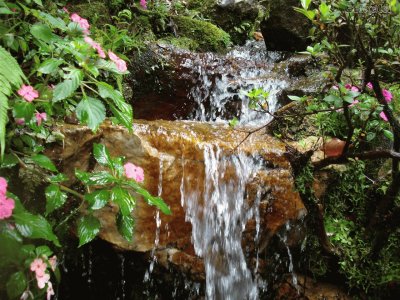 jardÃ­n japonÃ©s