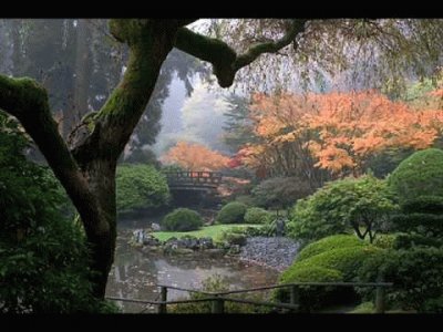 jardÃ­n japonÃ©s