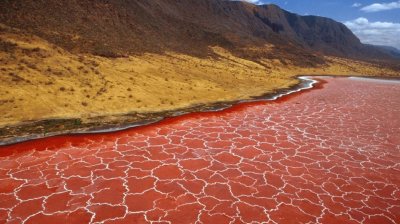 Lake Natron, Tanzania