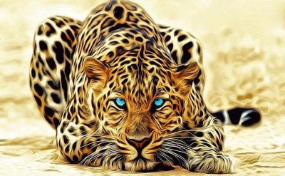 Leopardo